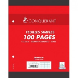 Feuillets mobiles 17x22 cm 100 pages Grands Carreaux blancs 90g