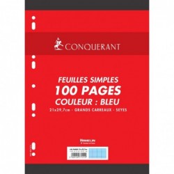 Feuillets mobiles 21x29