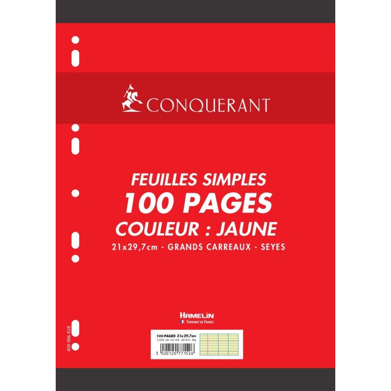 Feuillets mobiles 21x29